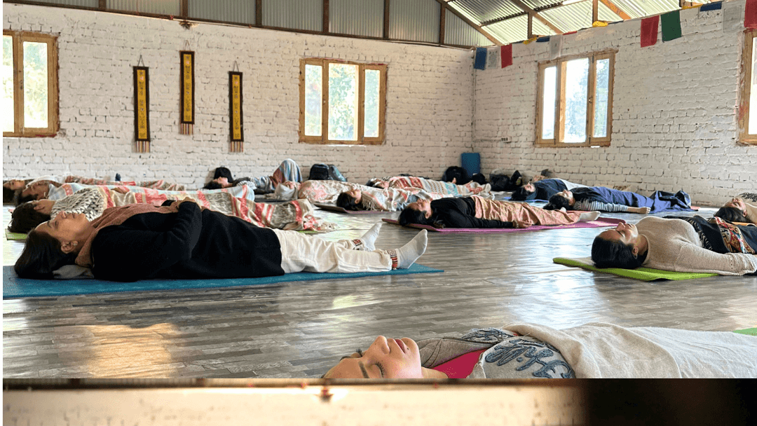 Moksha Healing Arts