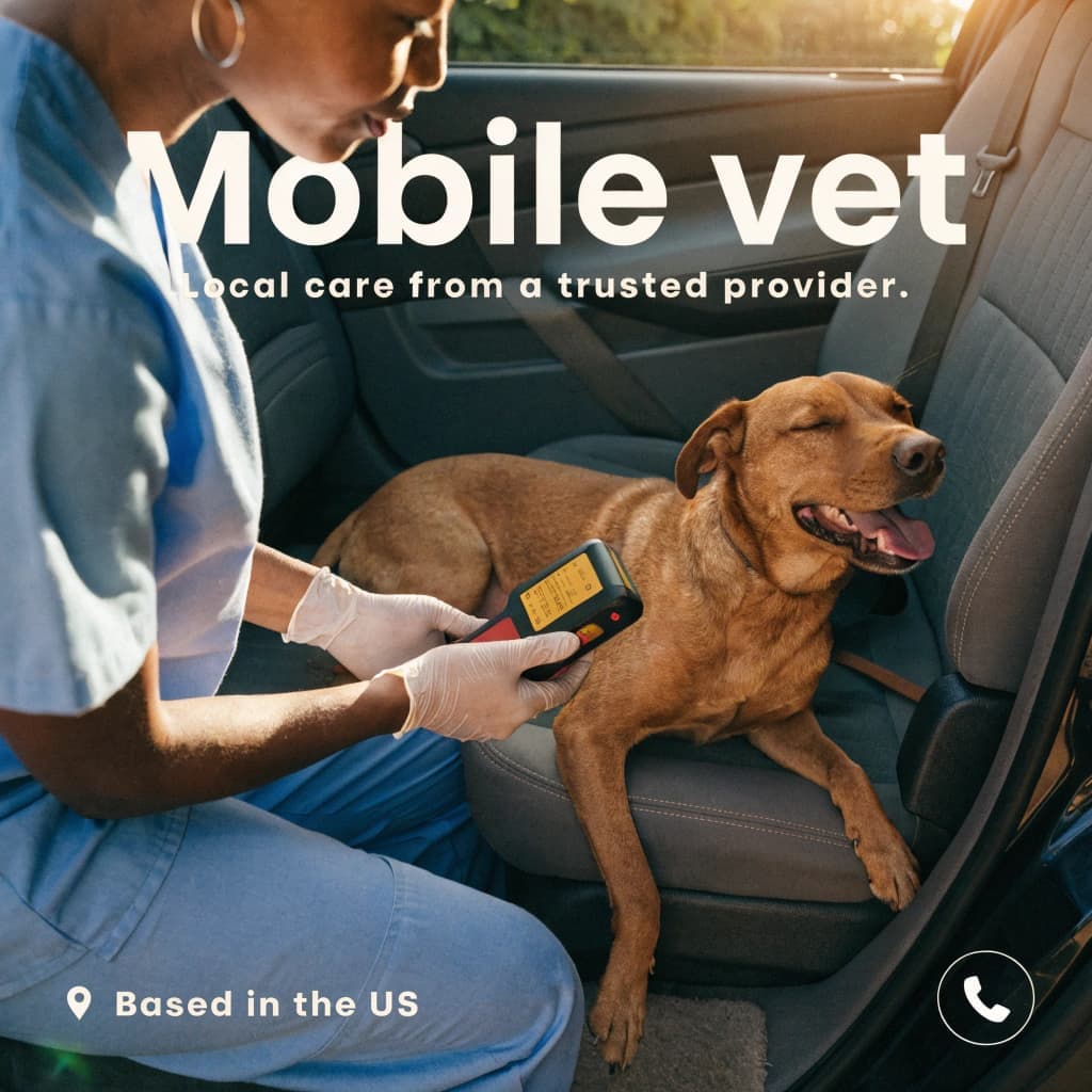 Happy pet receiving local care from a trusted provider