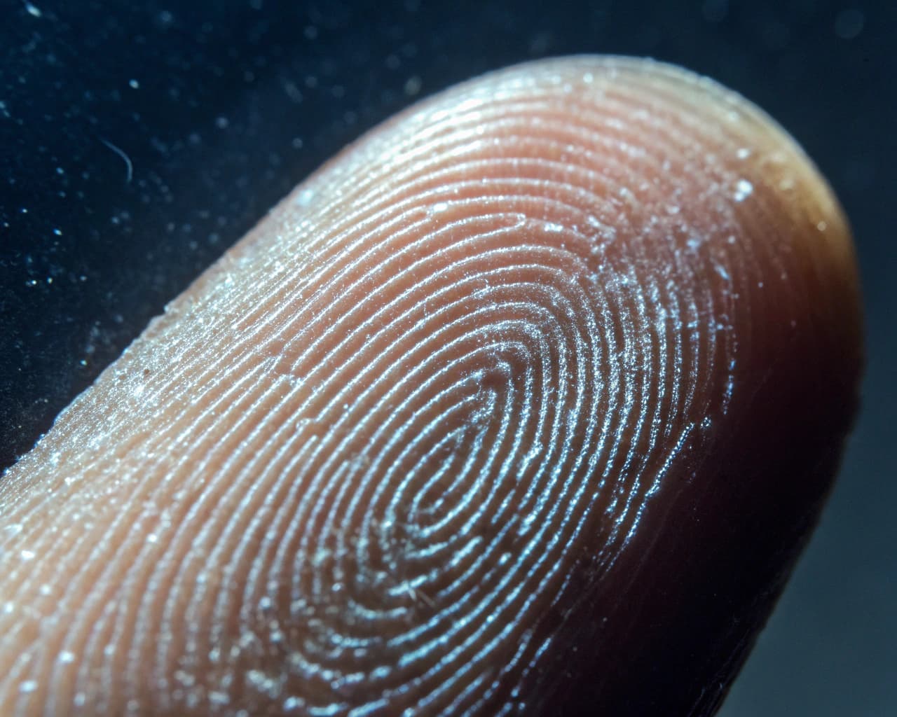 Fingerprinting, Background Checks & Compliance