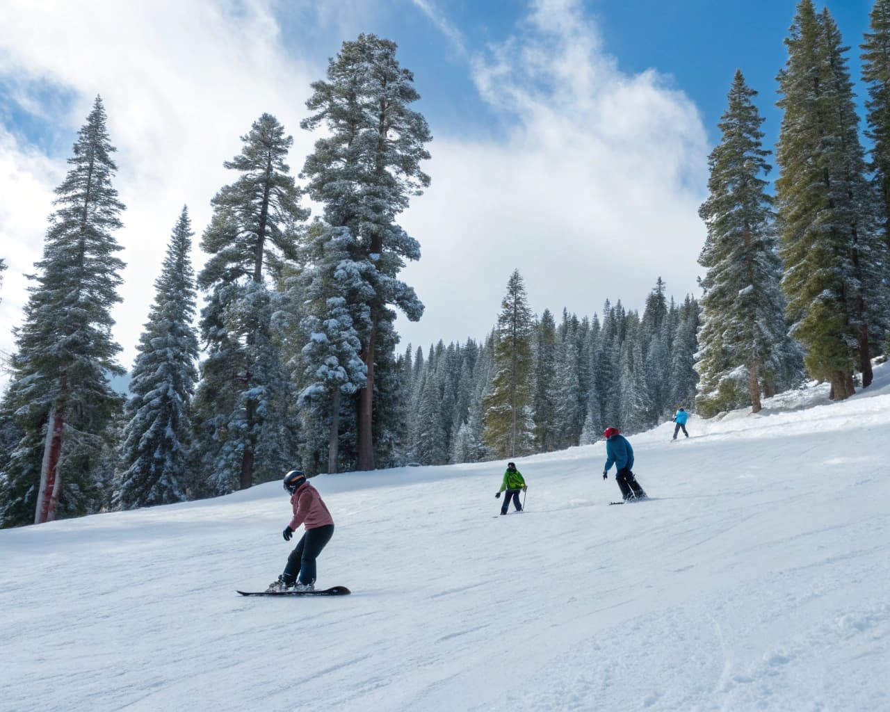 Winter Sports