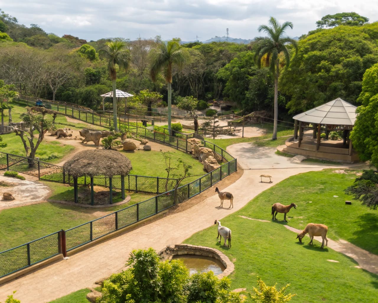 Animal Parks & Specialty Services