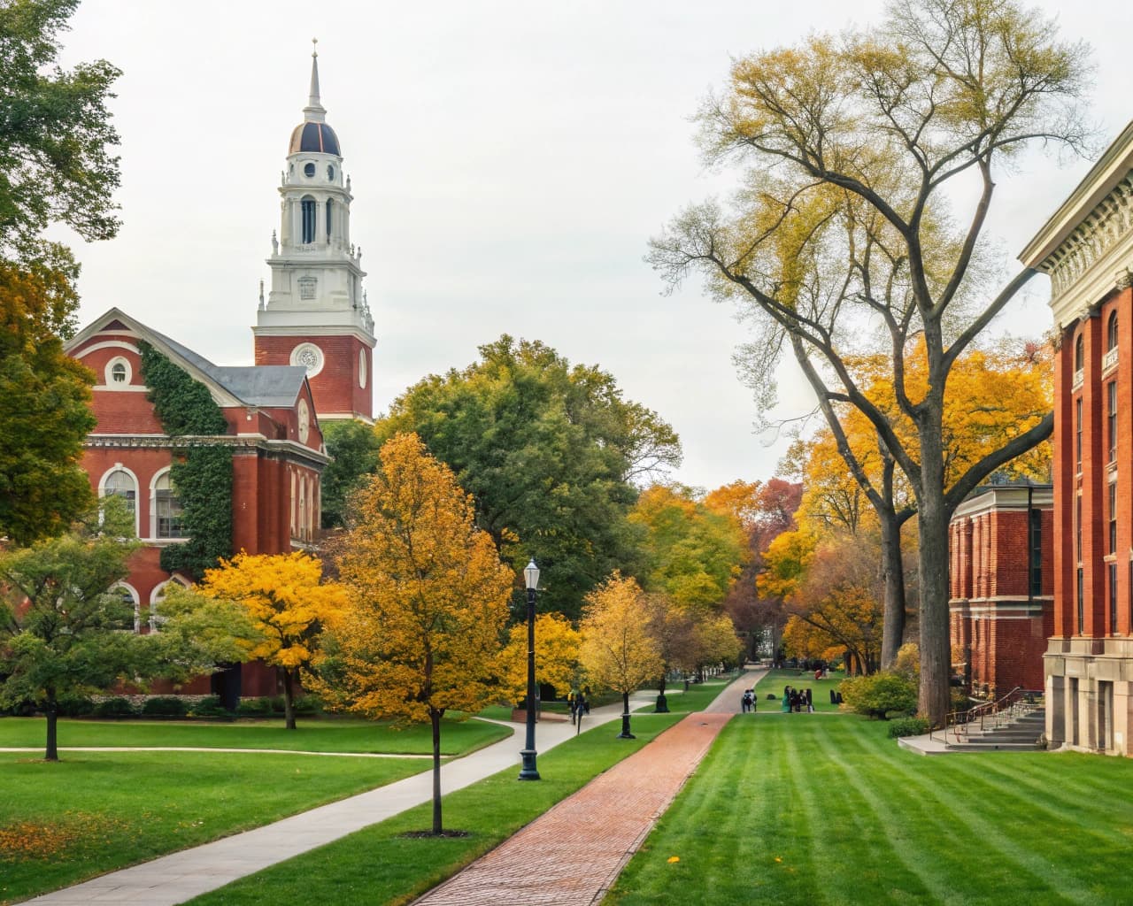 Higher Education & Colleges